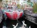 031_california_adventure